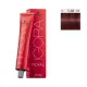 Schwarzkopf Igora Royal 60ml #5-88 Καστανό Ανοιχτό Εντονο Κόκκινο Schwarzkopf Igora Royal 60ml #5-88 Καστανό Ανοιχτό Εντονο Κόκκινο