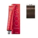 Schwarzkopf Igora Royal 60ml #6-46 ΞΑΝΘΟ ΣΚΟΥΡΟ ΜΠΕΖ ΜΑΡΟΝ Schwarzkopf Igora Royal 60ml #6-46 ΞΑΝΘΟ ΣΚΟΥΡΟ ΜΠΕΖ ΜΑΡΟΝ