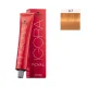 Schwarzkopf Igora Royal 60ml #9-7 Ξανθό Πολύ Ανοιχτό Χάλκινο Schwarzkopf Igora Royal 60ml #9-7 Ξανθό Πολύ Ανοιχτό Χάλκινο