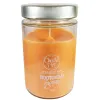 Candle Art Άρωματικό Κερί 72h 370ml #Πορτοκάλι