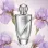 Iris Fusion Women (χύμα άρωμα) – Τύπου Infusion d'Iris