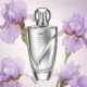 Iris Fusion Women (χυμα αρωμα) – Τύπου Infusion d'Iris Iris Fusion Women (χυμα αρωμα) – Τύπου Infusion d'Iris
