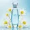 Pure Aqua For Her (χύμα άρωμα) – Τύπου L'eau d'Issey