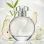 Omnis Pearl Women (χύμα άρωμα) – Τύπου Omnia Crystalline