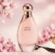 Aroma Amour Women (χυμα αρωμα) - Τύπου Amour Aroma Amour Women (χυμα αρωμα) - Τύπου Amour