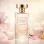 Elegance Poudree Women (χύμα άρωμα) – Τύπου NR Poudree