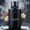 Palatino Black Unisex (χύμα άρωμα) – Τύπου BG Black