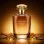 Sensual Amber For Her (χύμα άρωμα) – Τύπου Sexy Amber