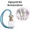 Αρωματικό Αυτοκινήτου 4ml - Iris Fusion Women