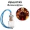 Αρωματικό Αυτοκινήτου 4ml - Orion Classic Women