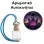 Αρωματικό Αυτοκινήτου 4ml - Midnight Treasure Women