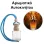Αρωματικό Αυτοκινήτου 4ml - Aroma Jungle Women