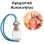 Αρωματικό Αυτοκινήτου 4ml - Spirited Twill Women
