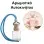 Αρωματικό Αυτοκινήτου 4ml - Blush Petals Women
