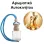 Αρωματικό Αυτοκινήτου 4ml - Légende Divine Women