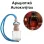 Αρωματικό Αυτοκινήτου 4ml - Moments With You Intense Men